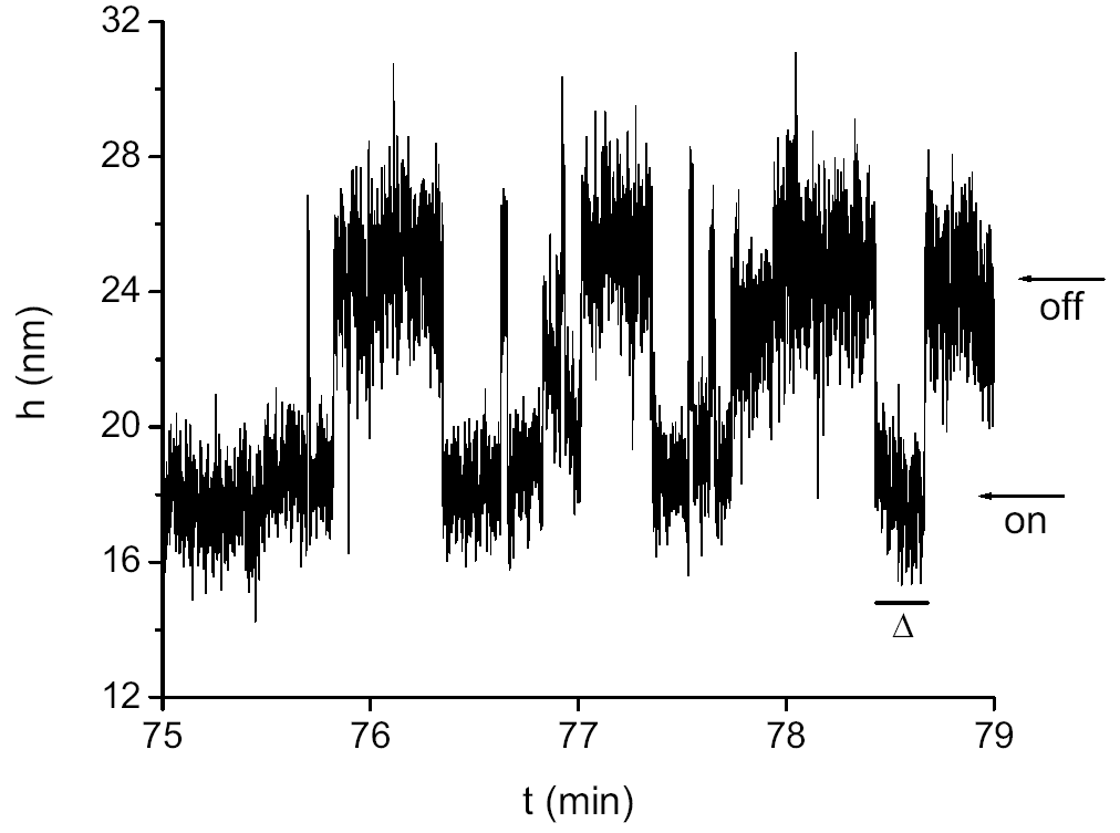 bead_signal